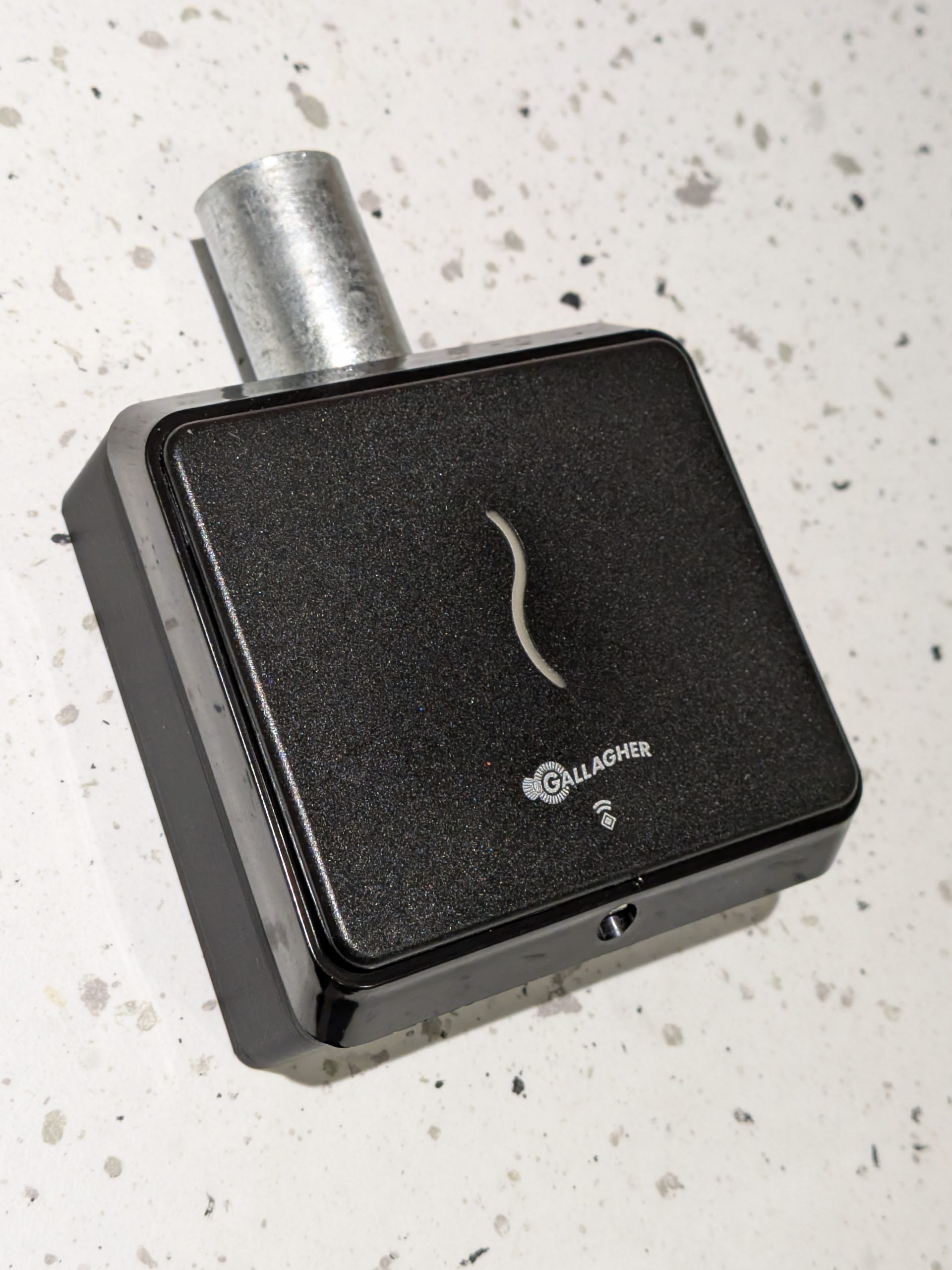 Gallagher T12 Back Box - installed with T12 reader and conduit